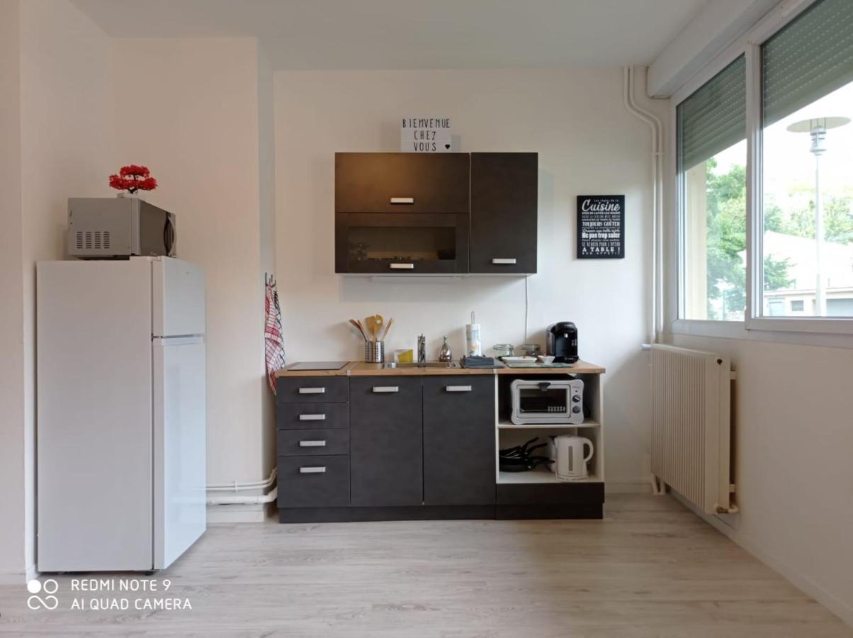 Appartement La Roseraie Parking Prive Mâcon Εξωτερικό φωτογραφία